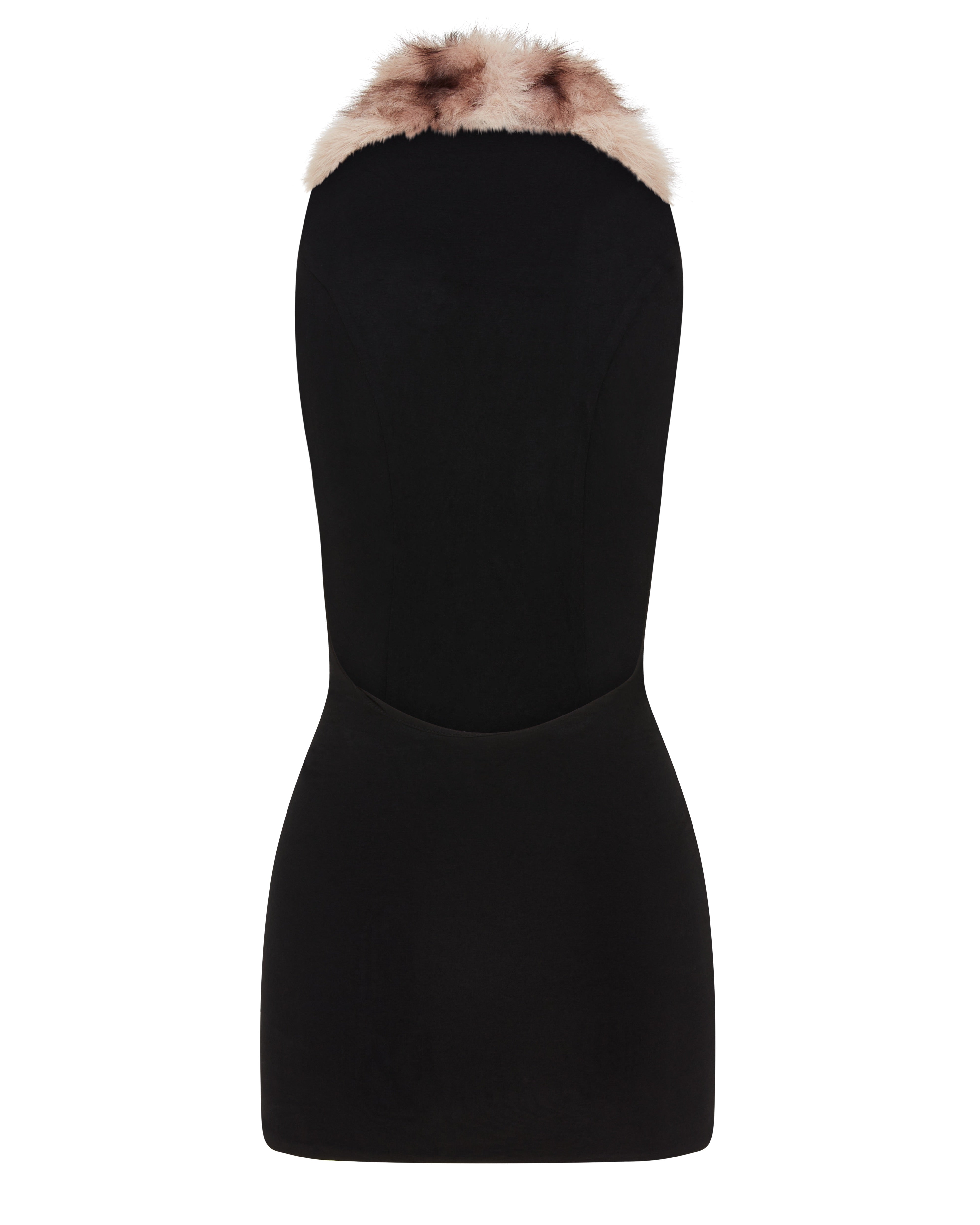 Loba Mini Dress