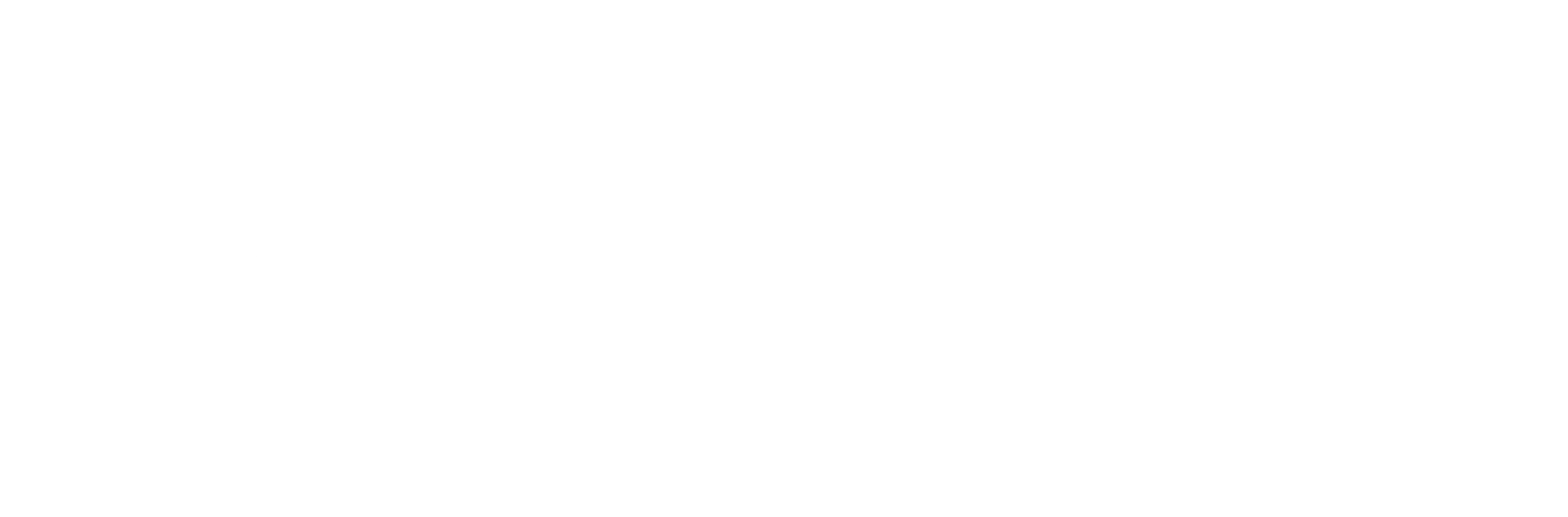 Lulu Souza Logo Landscape White
