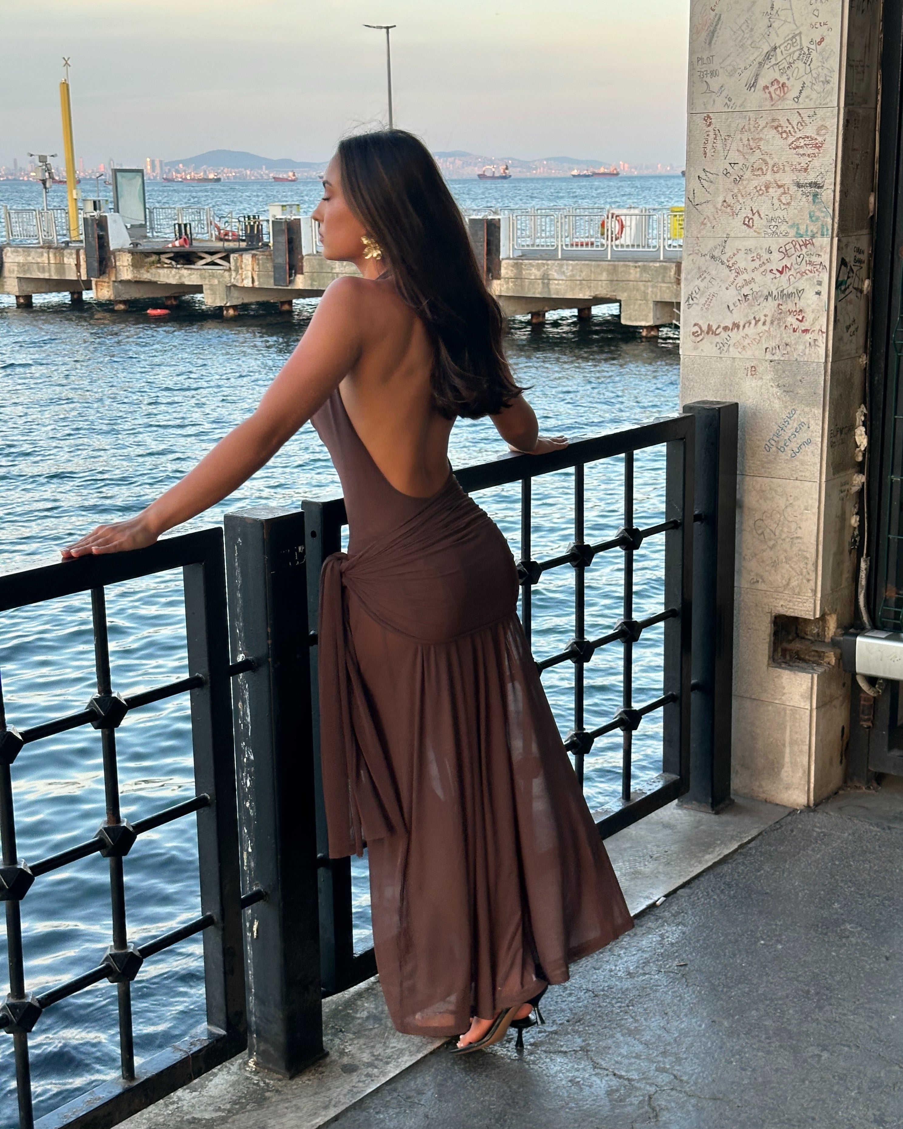 Lulu Souza Yosei Dress Back